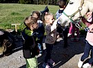 spletkaimg 4129