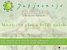 mnozicni ples mali