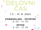 poletni delovni ca111s