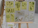 dscn0538