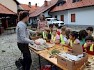 img 5182