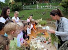 img 5191