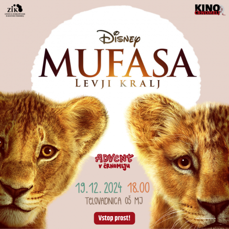 mufasa_kvadrat_2