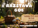 gobarsko drustvo grafika spletka