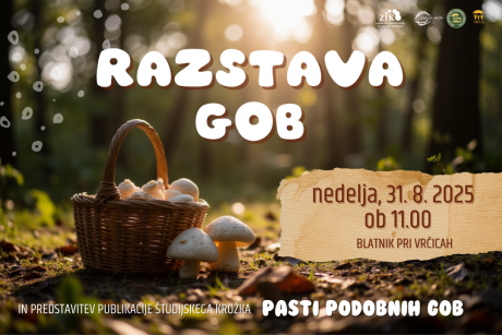 gobarsko_drustvo_grafika_spletka