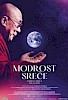 Modrost sreče | Kino v knjižnici