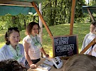 img 1260