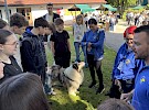 img 1267