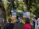 img 5206