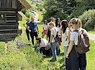 img 1764