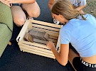 img 5150