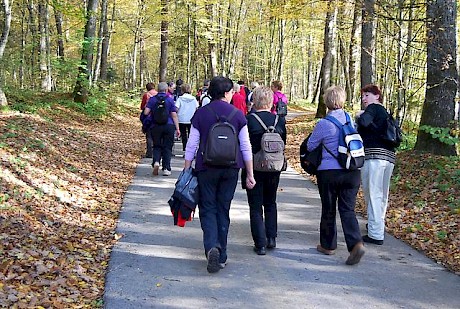 09 proti krivoglavicam