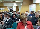 zakljucek anglescine