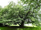 dscn1436