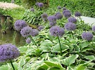 dscn1443
