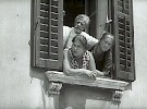 nas avto 1