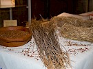 img 8567
