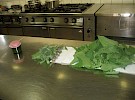 img 8012