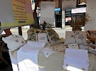 dscn6653