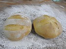 dscn6751