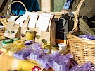 zeliscarski dnevi 2017 06