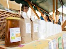 zeliscarski dnevi 2017 07