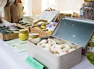 zeliscarski dnevi 2017 12