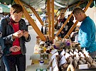 zeliscarski dnevi 2017 14