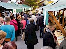 zeliscarski dnevi 2017 24