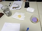 dscn8357