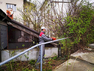 Čistilna akcija ZIK Črnomelj