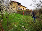 istilna akcija zik 2