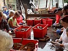 20180514 173948