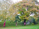 roznati oktober 3