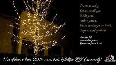 Vse dobro v letu 2019!