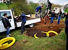 sajenje drevesa  05 04 1