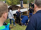 sajenje drevesa  05 04 10