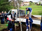 sajenje drevesa  05 04 20