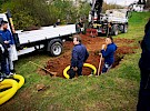 sajenje drevesa  05 04 21