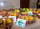 img 4602