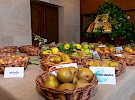 img 4603