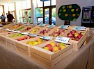 img 4608