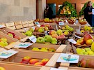 img 4618