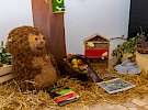 img 4619