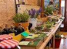 img 4646