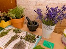 img 4649