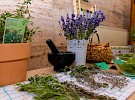 img 4733