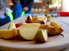 img 4736