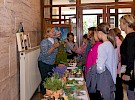 img 4807