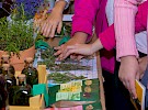 img 4831
